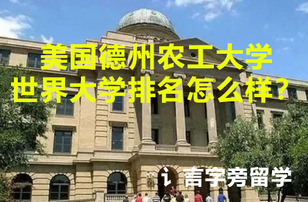 美國德州農工大學QS排名怎么樣？