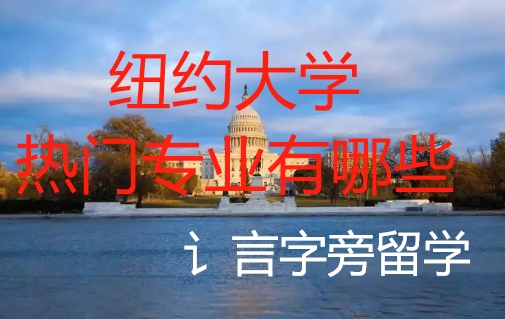 紐約大學熱門專業有哪些？
