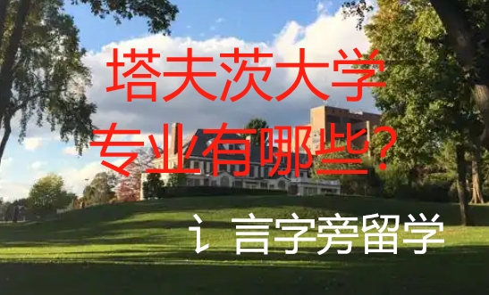 塔夫茨大學專業有哪些？